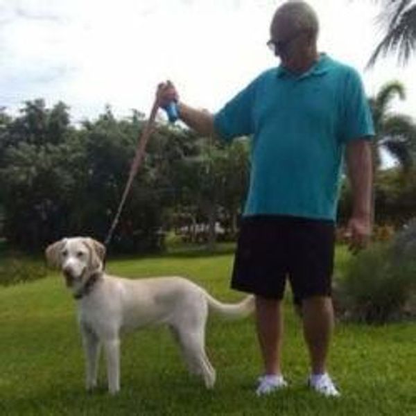 Man in blue shirt holding a dog leash in a grassy park.