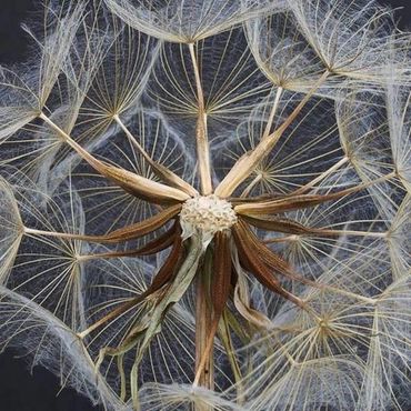 Patterns in architecture match life itself making sacred space