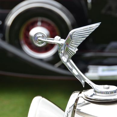 Hood ornament for Packard 