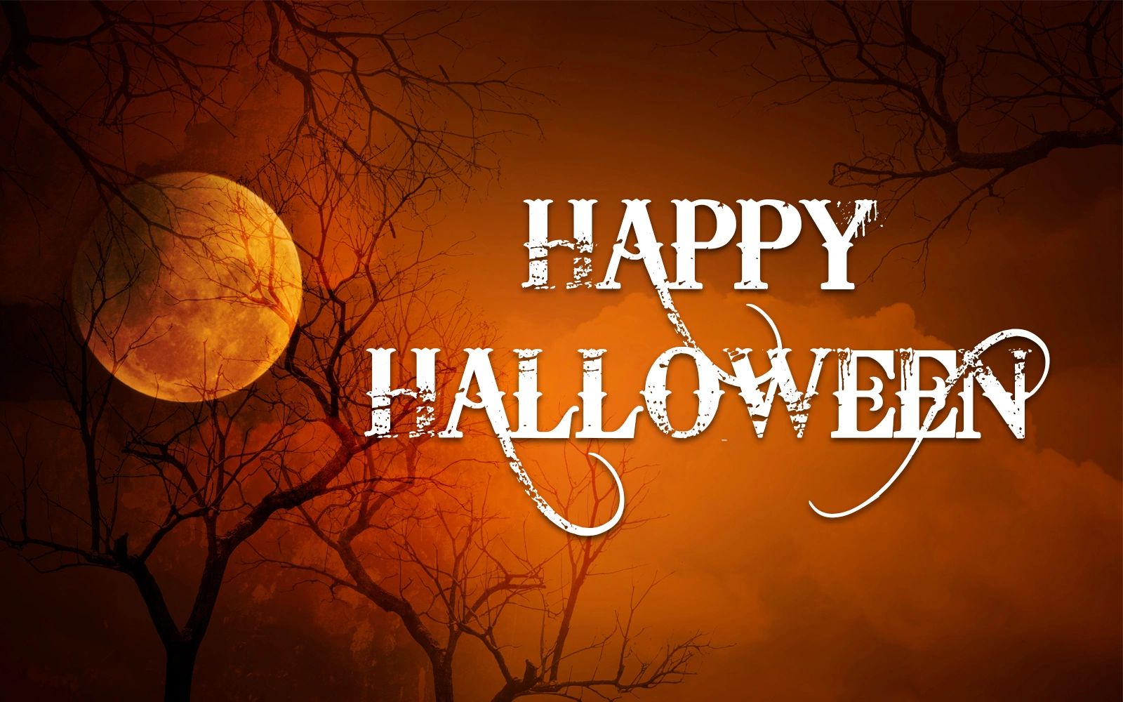 Happy Haloween, October specials
