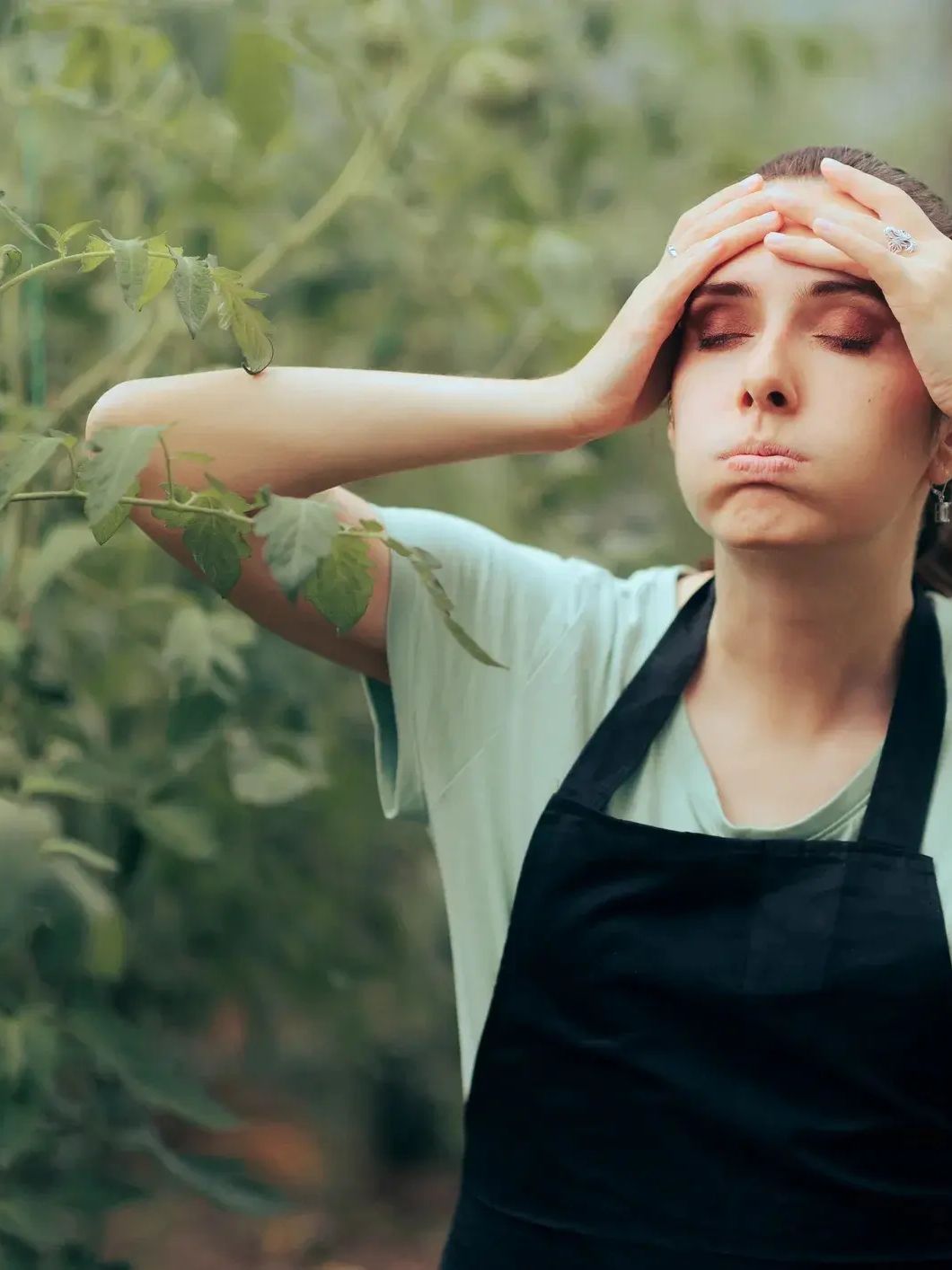 campesina estresada desde el cultivo de tomate