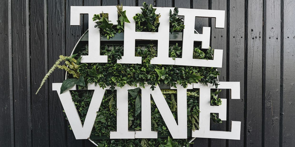 White letters spelling 'THE VINE' with green leaves growing through them against a black wooden wall.