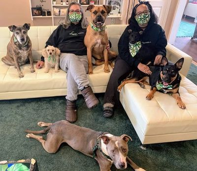 Owners/makers of Green Generation CBD for Pets Elizabeth and Abreanna with their 6 doggies.
