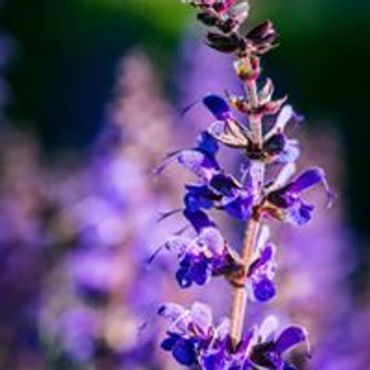 The Maddie Project
#shinebright #maddieproject #shinebrightaroundtheworld