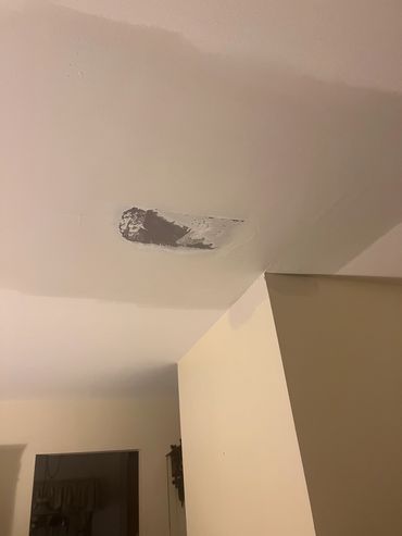 Ceiling with a patch repair.
