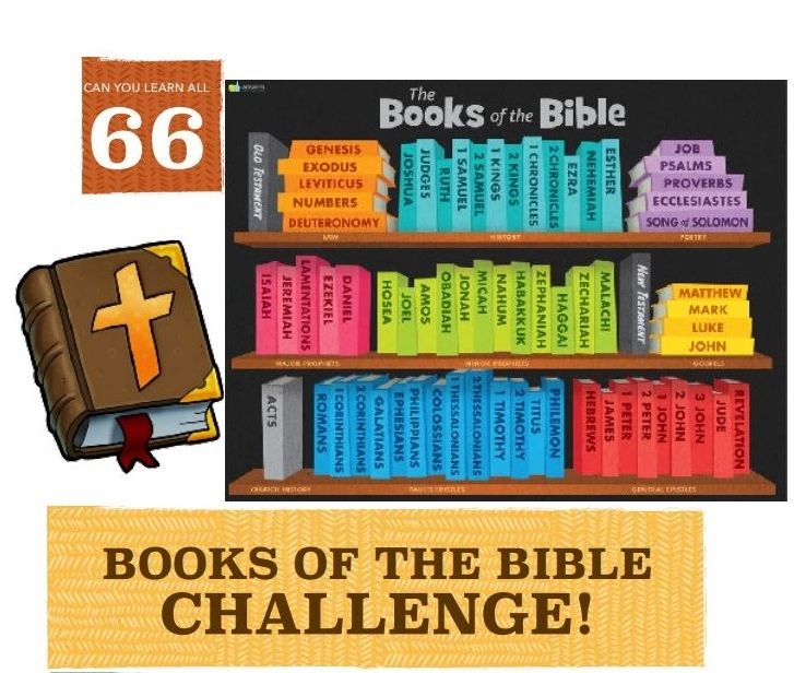 Books of the Bible organized on shelves in colorful groups for a learning challenge.
