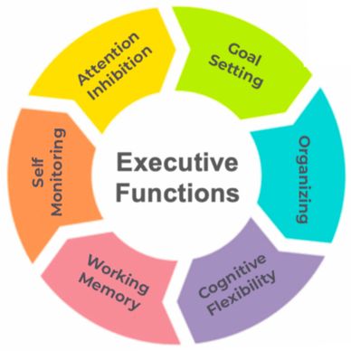 We support executive functioning to help children where traditional tutoring often falls short.