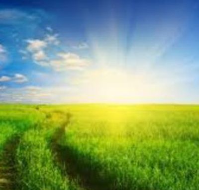 Sunrise over a green grassy field with a path.
