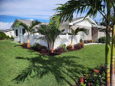 New Sod and palm tree planters