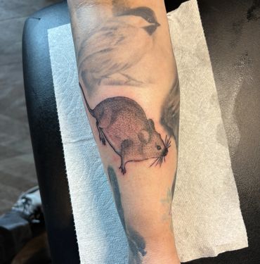 blackwork rat tattoo on a forearm