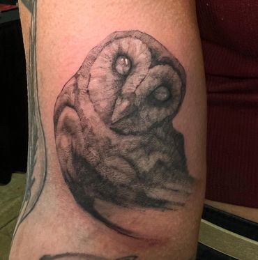black and gray realism barn owl tattoo