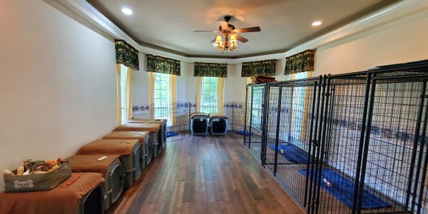 dog training indoor housing kennel 