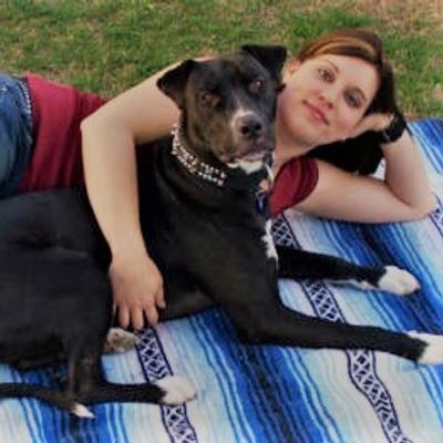 dog trainer certified professional dog behviorist
