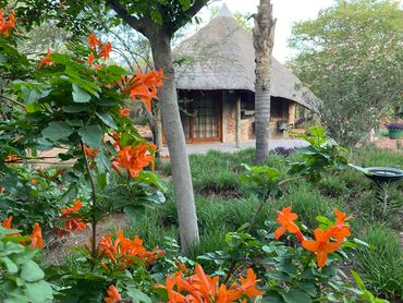 Thatched roof cottage surrounded by lush greenery and vibrant orange flowers.