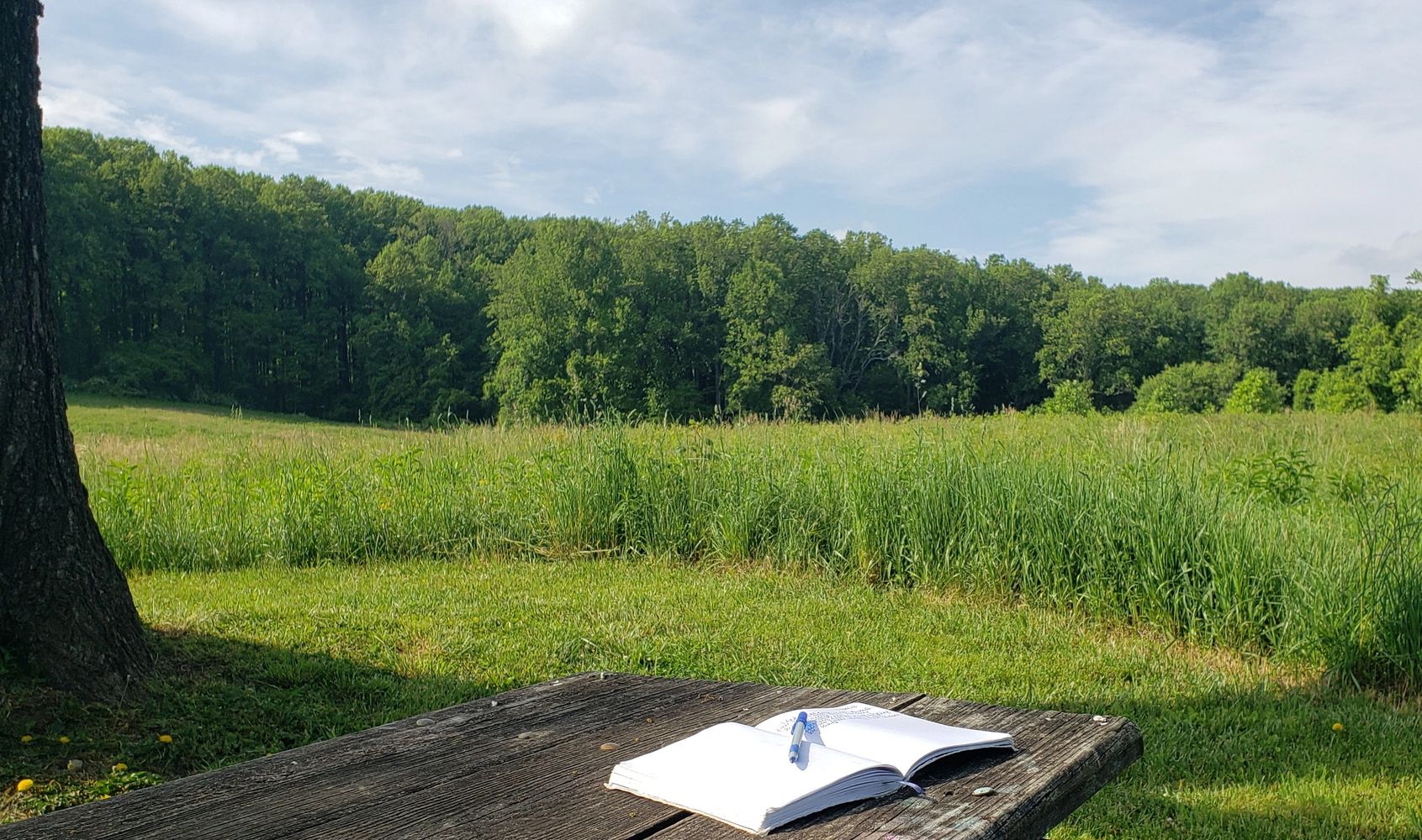 Open notebook with pen on a wooden picnic table in a grassy field with trees.
