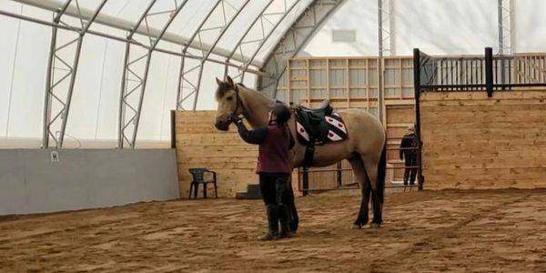 Coach Michelle training a young horse to do the in hand flexions.
