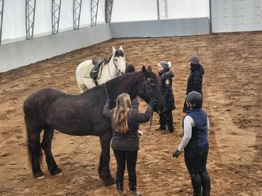 A student is learning flexions in hand with our lesson .horse