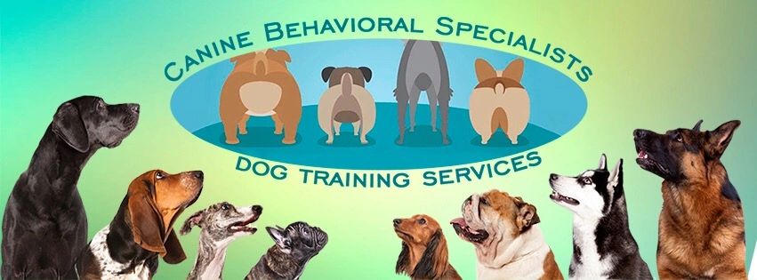 Canine Behavioral Specialists - Dog 