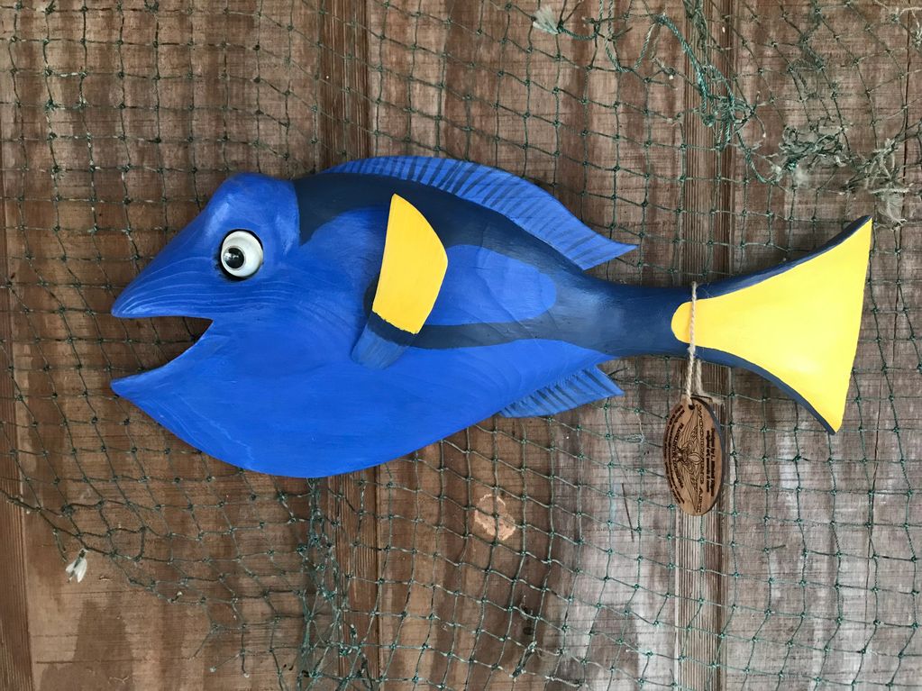 blue dory fish
