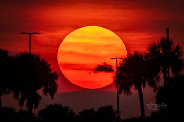 Just Another Florida Sunset (0066D500)