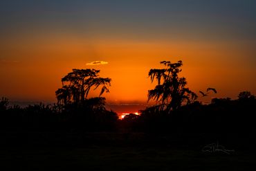Sultry Summer Sun Set (9303D500)