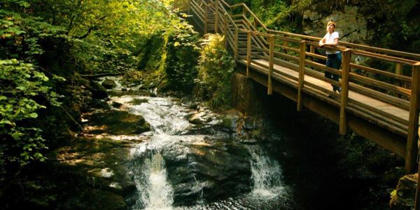 GLENARIFF WATERFALLS AND FOREST PARK