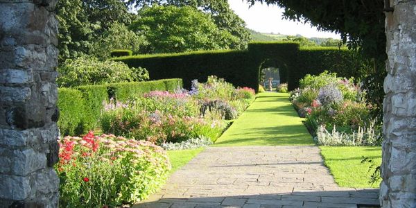 Glenarm Castle Walled Garden