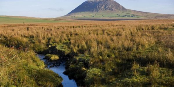 Slemish Mountain