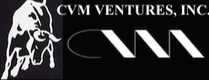 CVM Ventures 