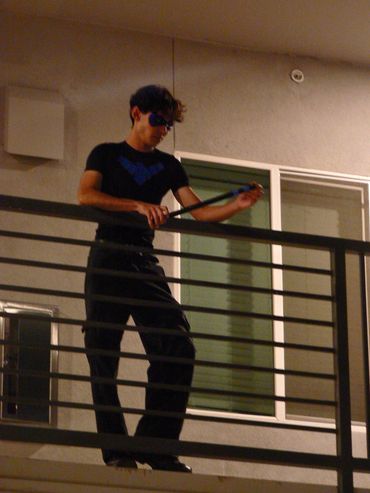 Reinert webb Nightwing picture on Balcony