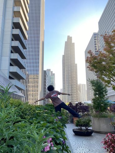 Reinert Webb Building and greenery mix