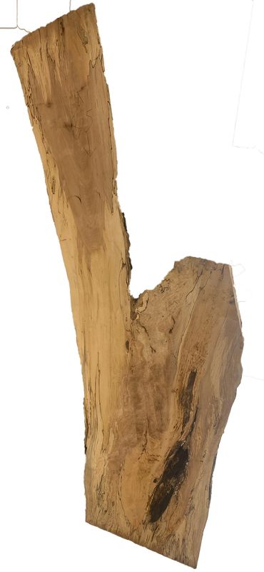 Spalted Maple $150