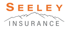 Seeley Insurance Services