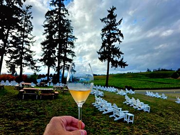 Sparkling wine in Willamette Valley. #stollervineyards