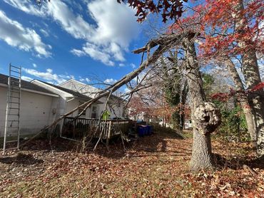 A large broken tree leaning over a house deck under a blue sky.