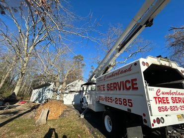 Cumberland Tree Service truck beside a large uprooted tree near a house.