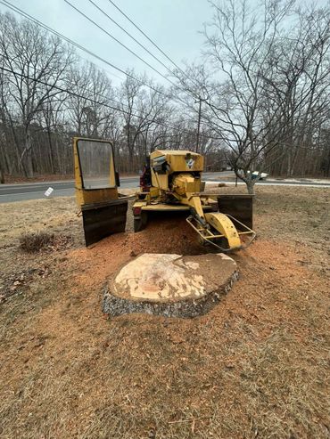 A wood chipper near a freshly cut tree stump in a wooded area.