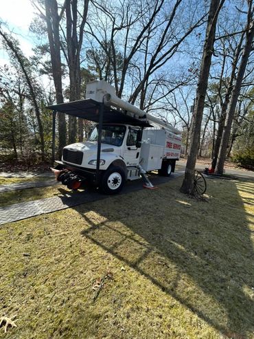 A white tree service truck parked on grass near trees on a sunny day.