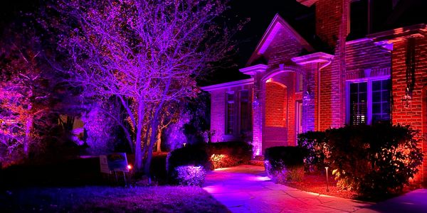 #landscapelighting #fx #hunter #ledlights #led #ledlights #fxluminairelighting #lightingstore #luxor