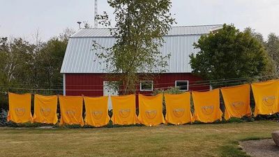Sunflower branded shirts hang upside down on a clothing line, in front of a red barn.