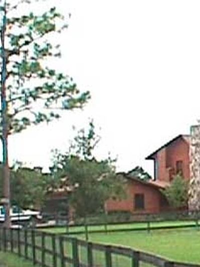 A rural scene with a tall pine tree and a house behind a fence.