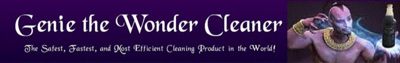 Genie Wonder Cleaner