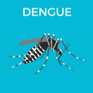 Illustration of a mosquito causing dengue.