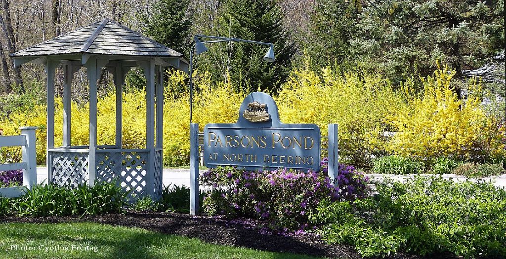 Parsons Pond Homeowners