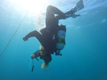 Perth Scuba  News