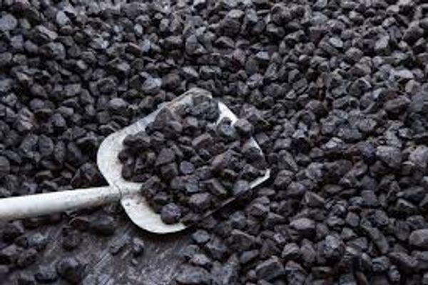 indonesian coal