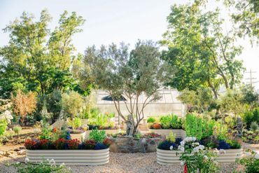 A bright garden with raised flower beds and a central statue under a tree.