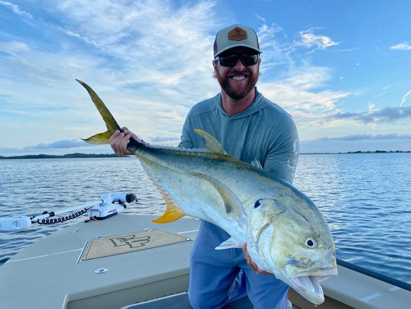 Big Jack Crevalle on the fly!