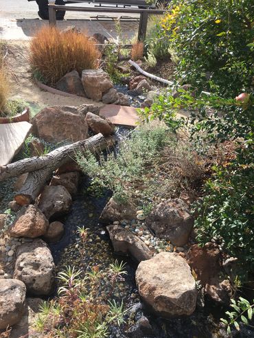 Pondless Waterfall 2020