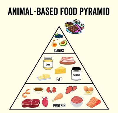 Animal-based food pyramid with protein, fat, and carbs layers.